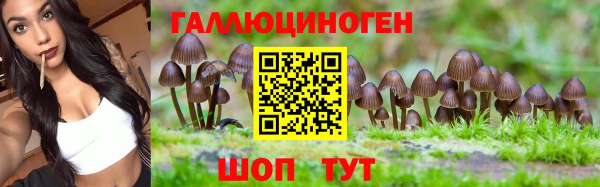 Красноуфимск  даркнет сайт  Вход с VPN  Псилоцибиновые грибы Cubensis  Псилоцибиновые грибы прущие грибы 